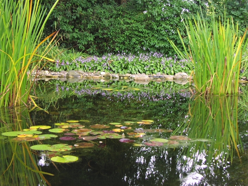 wasser-im-garten_1l - BARKHOFF & CO. GmbH